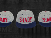 Shady X Ebbets Field Flannels Collection GET THE AWAY BASEBALL CAP