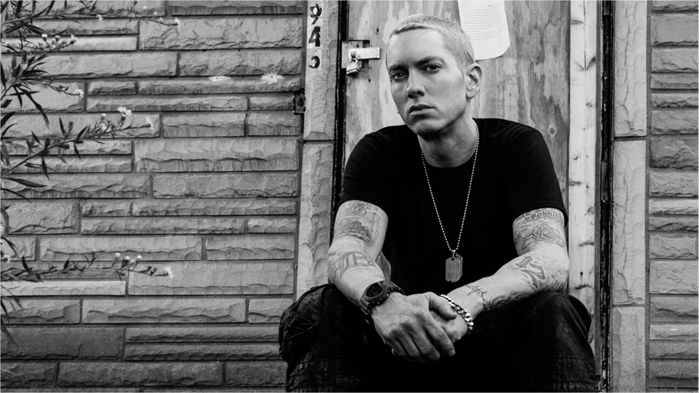 Eminem - "The Marshall Mathers LP2" Turns 7 Eminem.Pro - the bigg...