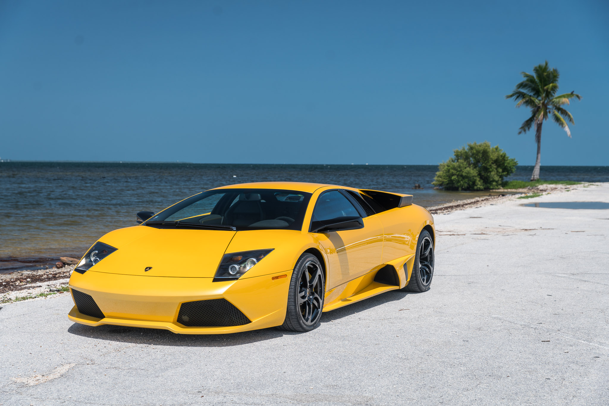 Lamborghini-Murcielago-LP640-6spd-Yellow-24  - the biggest and  most trusted source of Eminem