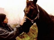 Eminem with a horse