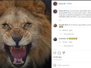 50C vs Starz IG 1