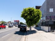 Ads for Eminem — “Curtain Call 2” Pop Up Across US Los Angeles (ePro / Eminem.Pro / Eminem.News