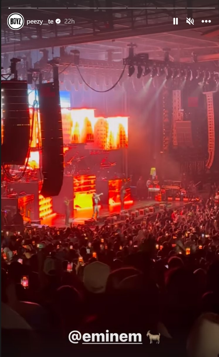 Eminem, 50 Cent Perform 'Crack a Bottle' at Michigan Show: Watch