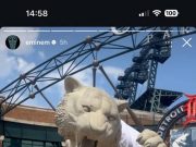 eminem tigers IG